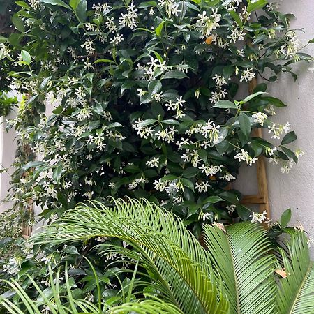 Maria'S Jasmine Διαμέρισμα Βόλος Εξωτερικό φωτογραφία