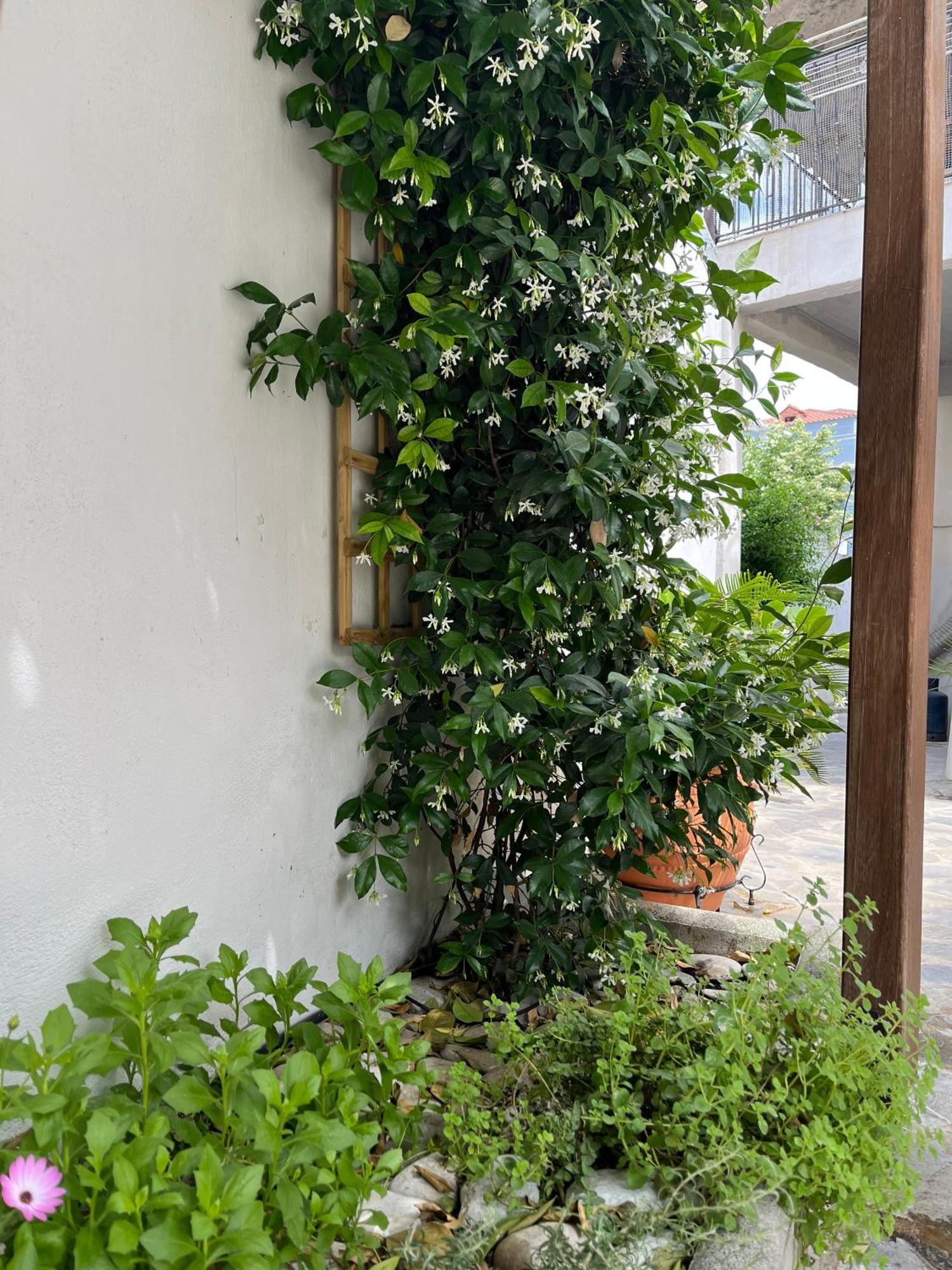 Maria'S Jasmine Διαμέρισμα Βόλος Εξωτερικό φωτογραφία